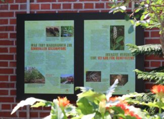 Ausstellung im Berggarten: „Neue Wilde – Globalisierung in der Pflanzenwelt“ eröffnet Plakat Neue Wilde