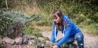 Anlage eines Naturgartens
