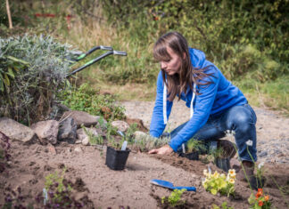 NABU: Die fünf besten Tipps zum naturfreundlichen Gärtnern Anlage eines Naturgartens