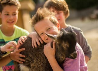 Tierisches Zoo-Abenteuer für Feriengruppen Streichelzoo