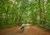 Wald