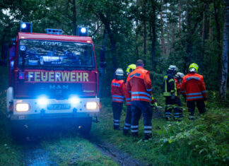 Ortsfeuerwehr Wienhausen probt den Ernstfall im Landeswald Feuerwehrübung