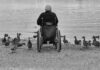 Rollstuhl am See