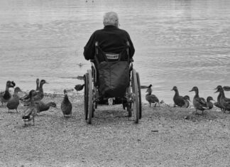 Hermann-Löns-Park bietet zwei rollstuhlgerechte Angelplätze Rollstuhl am See