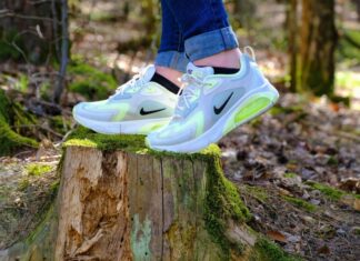 Noch freie Plätze für Führungen „Grünes Hannover“ in dieser Woche Sport im Wald