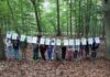Kinder im Wald
