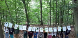 Kinder im Wald
