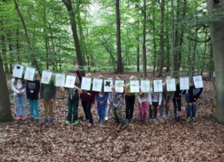 Ferienspaß im Wald Kinder im Wald