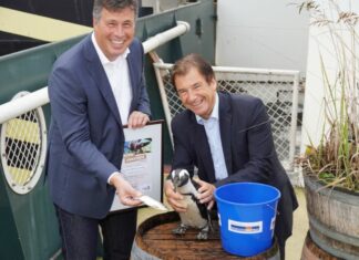 NiedersachsenMetall überrascht seine neuen Patentiere im Erlebnis-Zoo Andreas M. Casdorff und Dr. Voker Schmidt mit Patenpinguin Petra