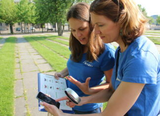 NABU: Kleine Tiere – große Zahlen Insektensommer