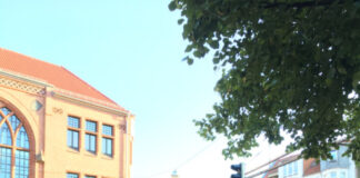 ZINNOBER-Infopoint-Marktwagen