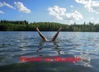 Badeverbot für Großen Teich in Hannover – Badewarnung für Natelsheider See Badesee Blaualgen