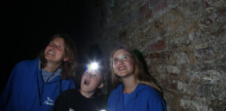 Nacht der Fledermäuse