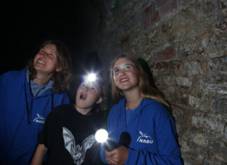 Am 28. und 29. August findet die 25. europaweite Nacht der Fledermäuse statt Nacht der Fledermäuse