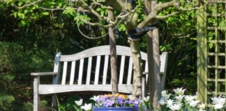 Gartenbank