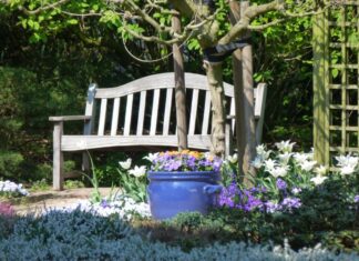 Noch freie Plätze für Führungen „Grünes Hannover“ am Sonntag, 5. September Gartenbank