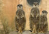 3G ab Oktober Erlebnis-Zoo Hannover