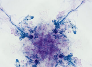 Malerei ff.: Ausstellungseröffnung am 18.9. in Schloss Landestrost Anne Nissen - Laminar