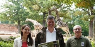 Tania Roach_Andreas M. Casdorff und Johannes Kirchgatter stellen das Team Giraffe Hannover vor