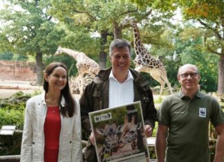 Ein starkes Team für Giraffen Tania Roach_Andreas M. Casdorff und Johannes Kirchgatter stellen das Team Giraffe Hannover vor
