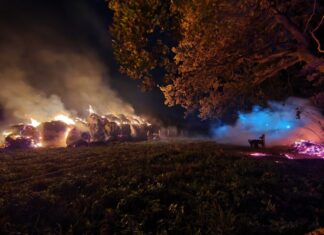 Brennende Strohballen im Bereich einer Stallung bei Sievershausen Brennende Strohballen im Bereich einer Stallung