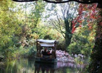 Erlebnis-Zoo Hannover verabschiedet die Sommersaison Sambesi - Erlebnis-Zoo Hannover