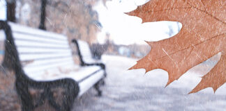 Bank mit Schnee
