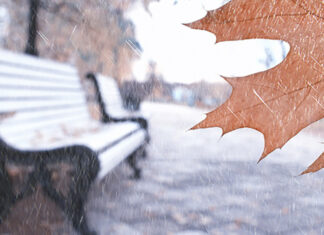 Weiße Überraschung zum Adventswochenende Bank mit Schnee