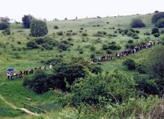 „I’m walking“: Atelierspaziergang am 7. und 14. November 2021 Die Fahrt nach Tahiti