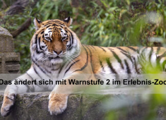 Tierhäuser, Hoflokal und vielfältige To-Go-Angebote im Erlebnis-Zoo Hannover Tiger - Erlebnis-Zoo Hannover