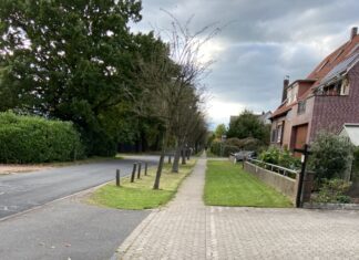 Zwecks Ausbau des Stadtweges müssen Rotdornbäume weichen Stadtweg in Engelbostel