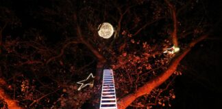 Christmas Garden Hannover 2021