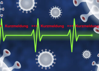 Klarstellung zur Feststellung eines landesweiten Katastrophenfalles Grafik Corona