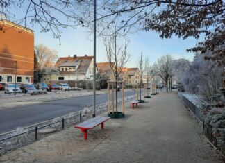 Wiesenau blüht ab 2022 auch entlang der Hackethalstraße auf Hackethalstraße in Langenhagen