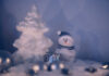 kleiner Schneemann