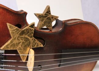 Kultur im Schloss: Konzertbetrieb vorerst eingestellt Geige mit Weihnachtsstern