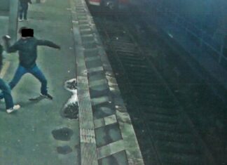 Aus fünf Metern Höhe: Männer bewerfen Bundespolizisten und Fahrzeuge – Festnahme Flaschenwerfer