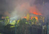 Laubenbrand Hainholz