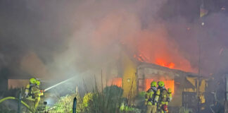Laubenbrand Hainholz