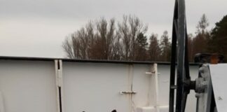 Geretteter Hund Susi