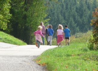 Schulfahrten werden bis Osterferien 2022 abgesagt Kinder / Freizeit / Waldspaziergang