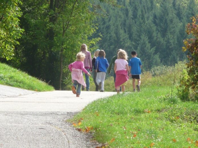 Kinder / Freizeit / Waldspaziergang