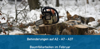 Baumfällarbeiten