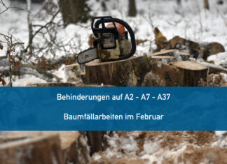 A 2, A 7, A 37: Gehölzpflege- und Baumfällarbeiten im Februar – es ist mit Behinderungen zu rechnen Baumfällarbeiten