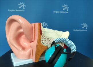 Tag des Hörens: Infos und Tipps für gutes Hören Beispiel Ohr