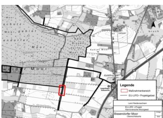 LIFE+-Projekt „Hannoversche Moorgeest“: Bauvorbereitende Gehölzentnahme am Bissendorfer Moor Karte geplante Arbeiten am Achtmiutenweg