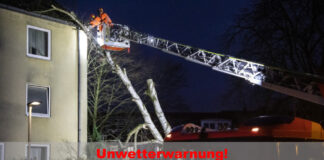 Feuerwehreinsatz umgestürzter Baum