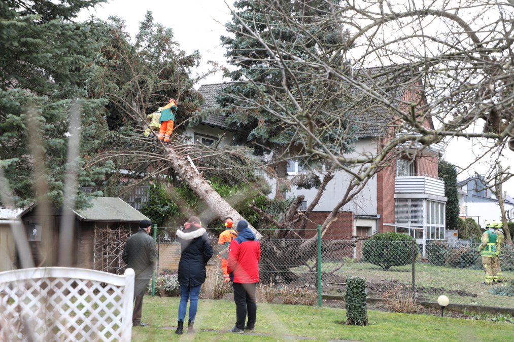 Feuerwehrkran im Einsatz - Baum stürzt auf Hausdach