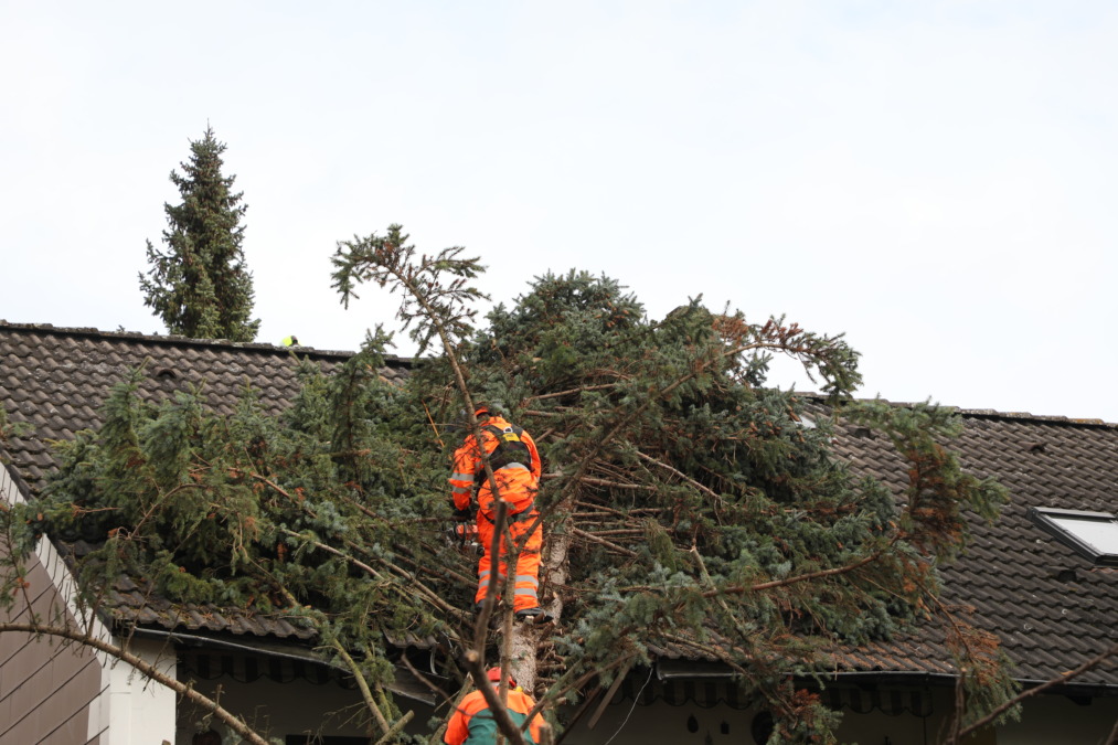 Feuerwehrkran im Einsatz - Baum stürzt auf Hausdach