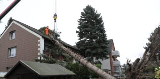 Feuerwehrkran im Einsatz - Baum stürzt auf Hausdach